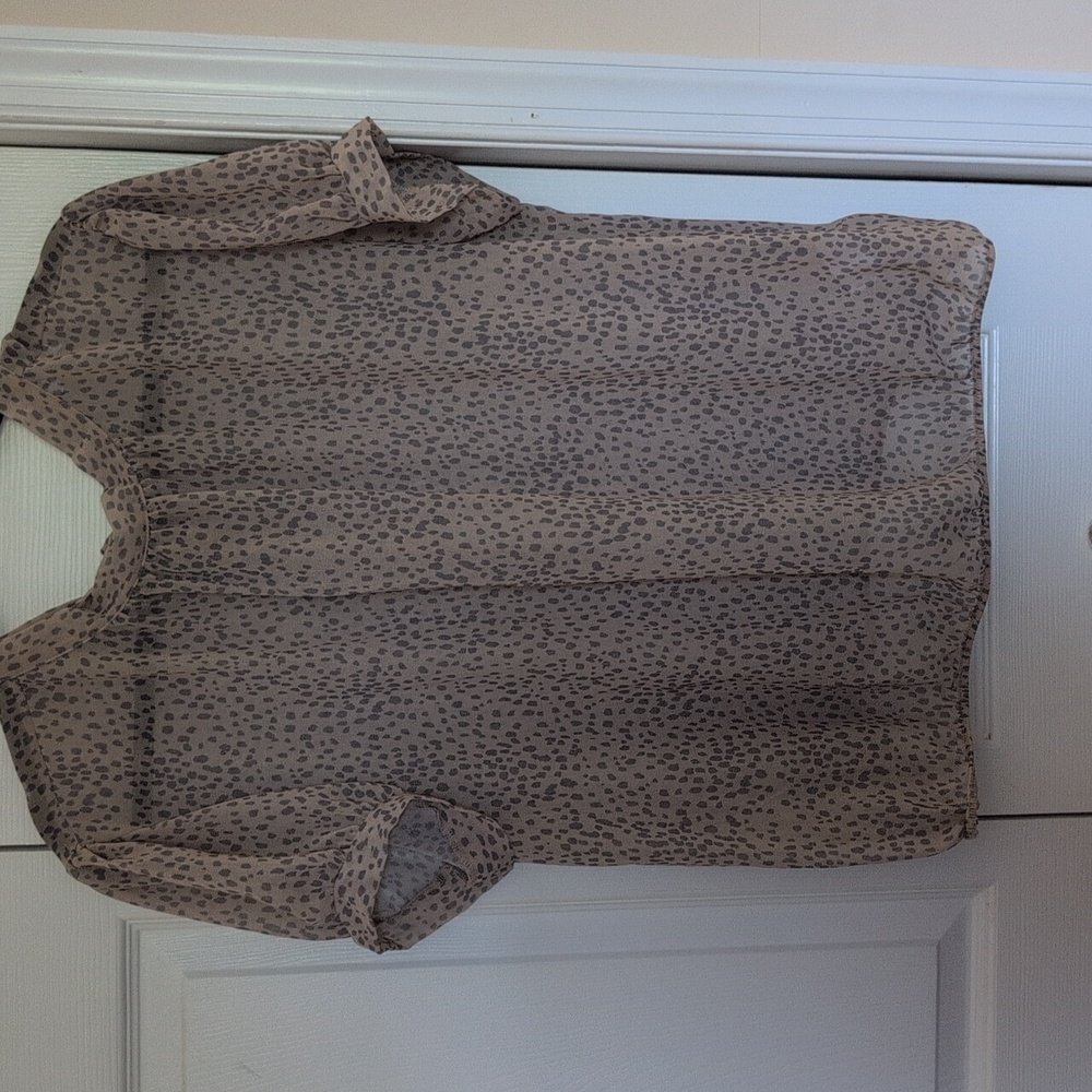 Express Sheer Brown Blouse